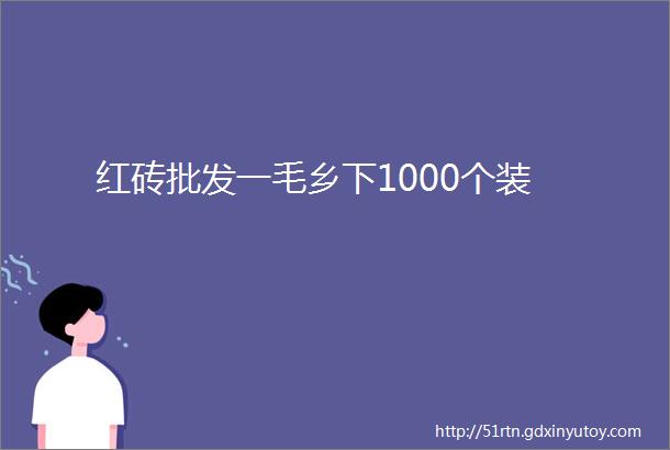 红砖批发一毛乡下1000个装